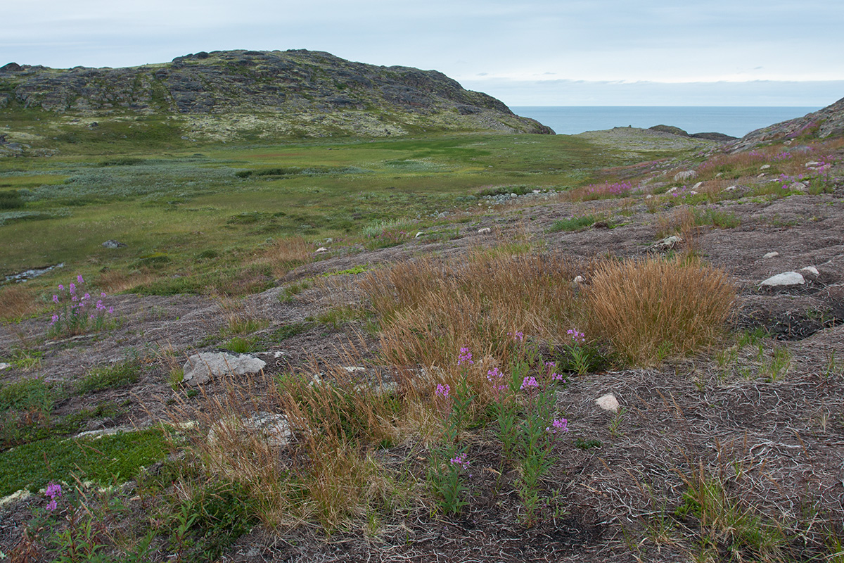 Экспериментальные озёра, image of landscape/habitat.