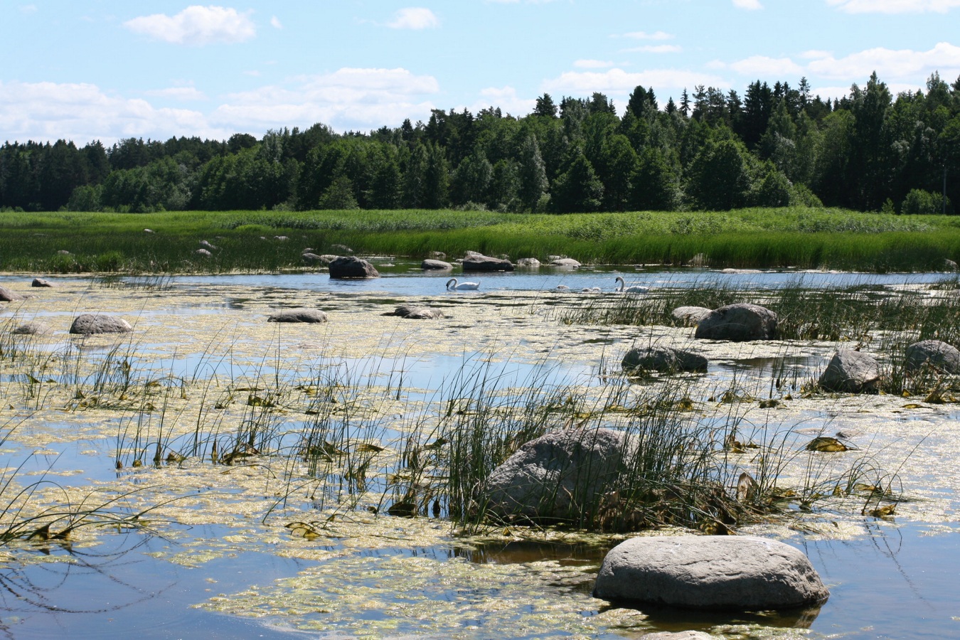 Каравалдай, image of landscape/habitat.