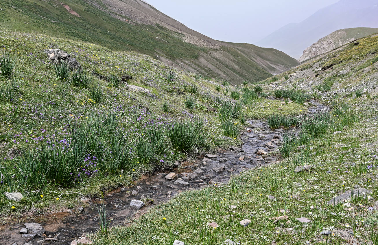 Луковая Поляна, изображение ландшафта.