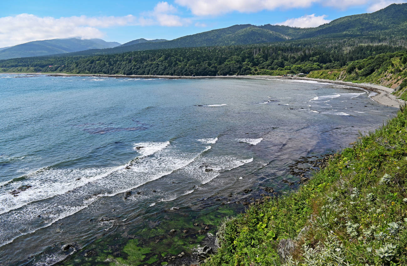 Мыс Острый, image of landscape/habitat.