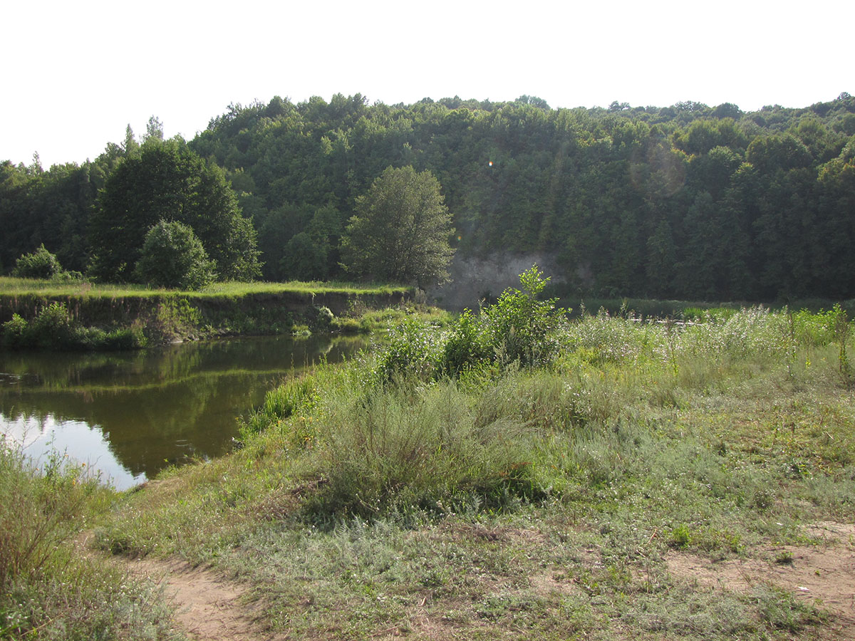 Буровая, image of landscape/habitat.