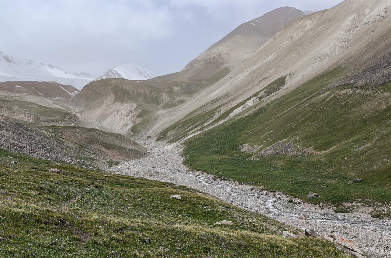 Луковая Поляна, изображение ландшафта.