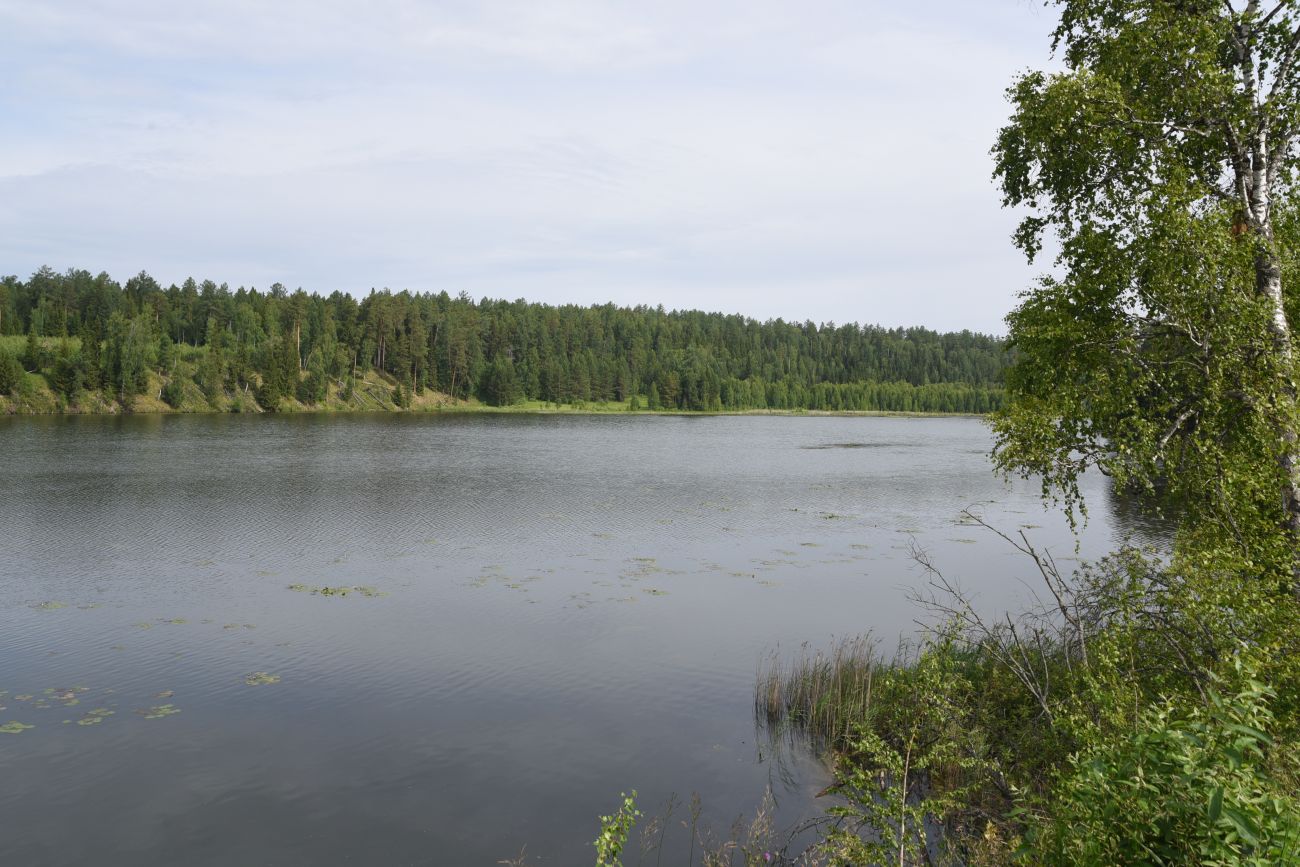 Река Куказар, image of landscape/habitat.