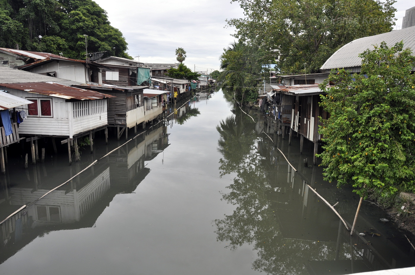 Донмыанг (Don Mueang), image of landscape/habitat.