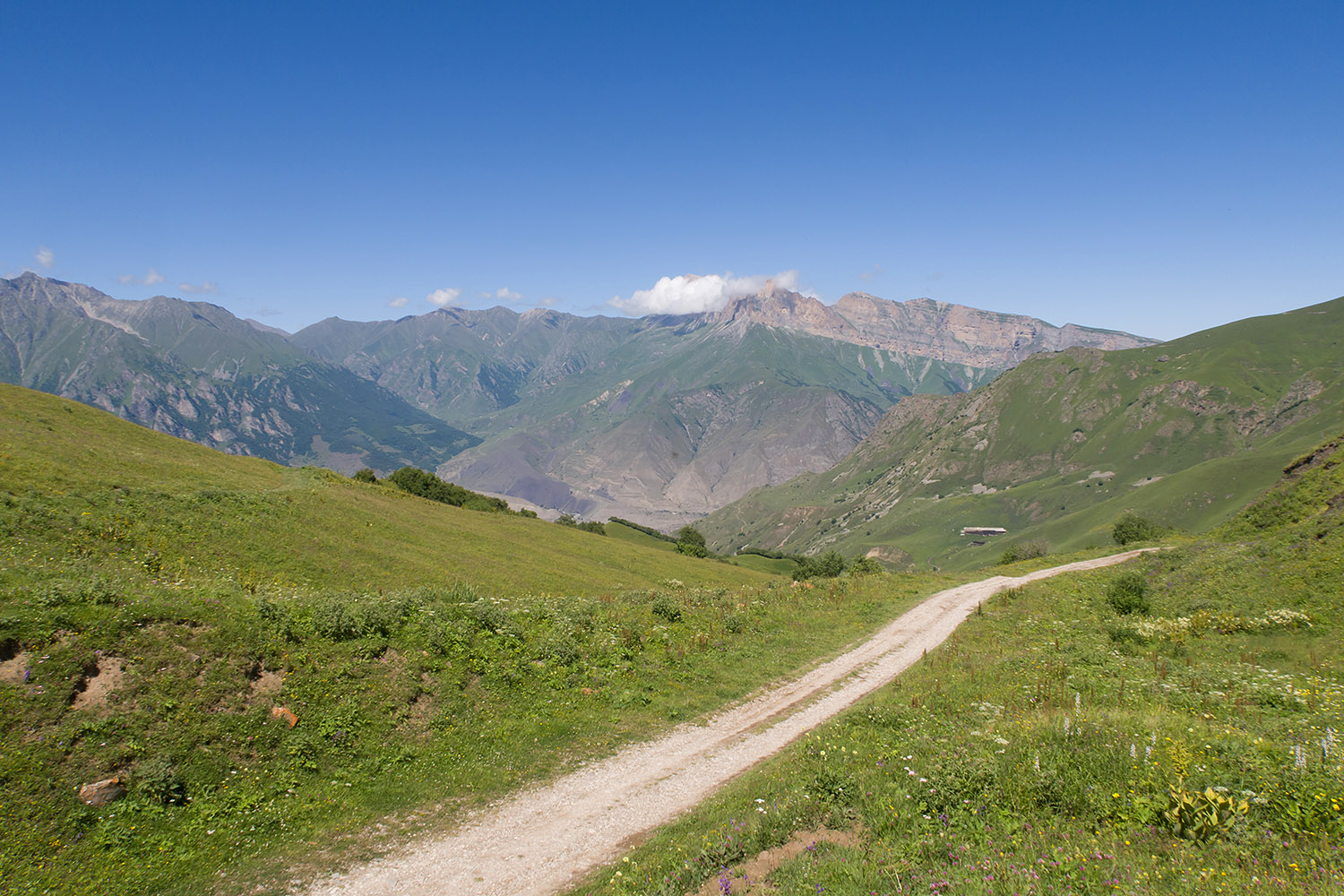 Перевал Северный Курноят, image of landscape/habitat.