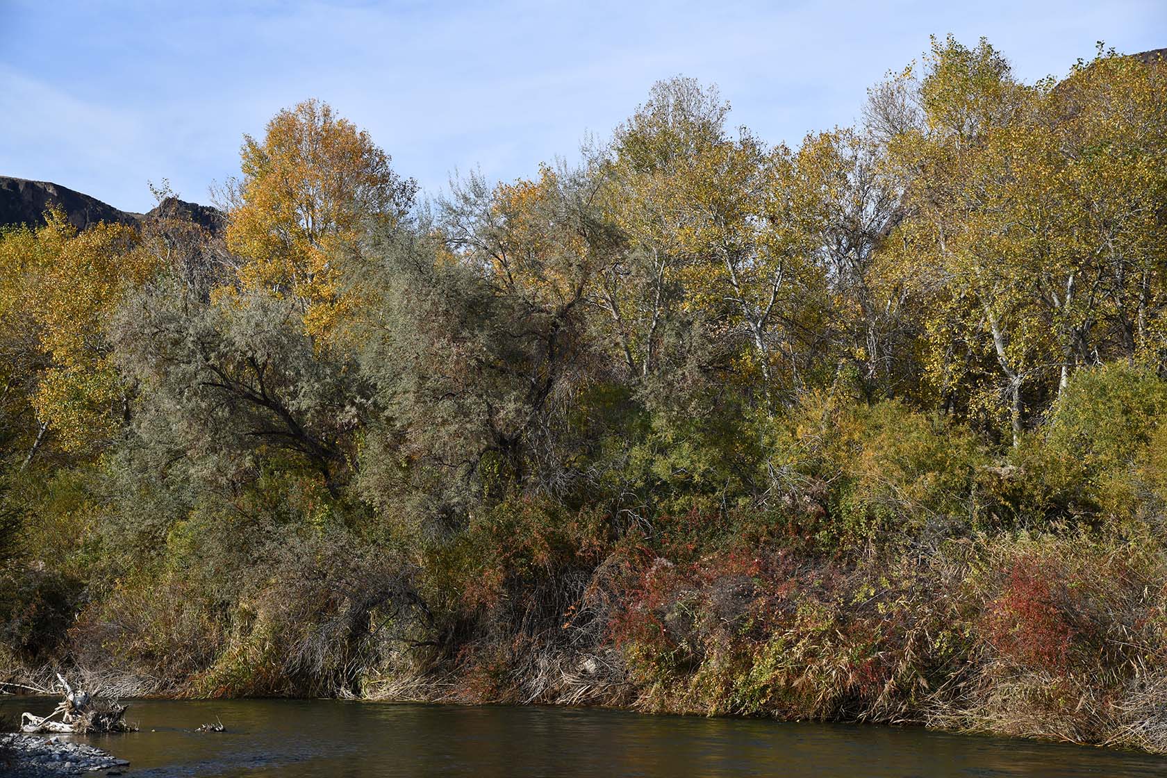 Куртогай, image of landscape/habitat.