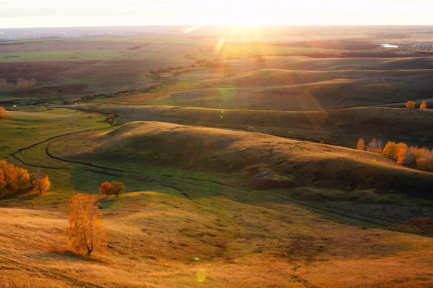 Заказник "Чатыр-Тау", image of landscape/habitat.