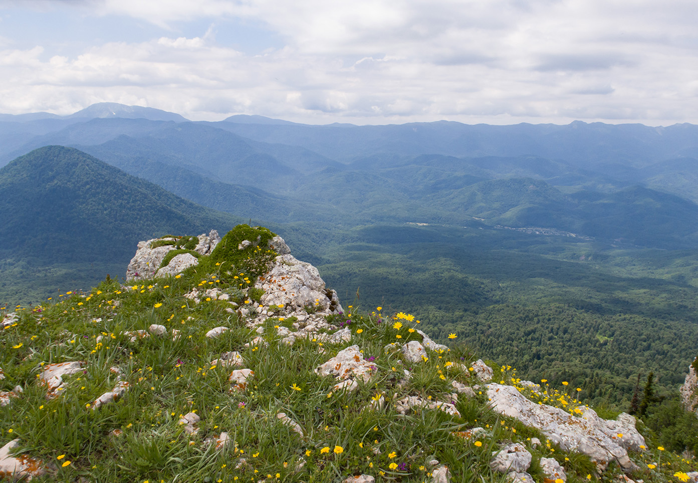 Черногор, image of landscape/habitat.