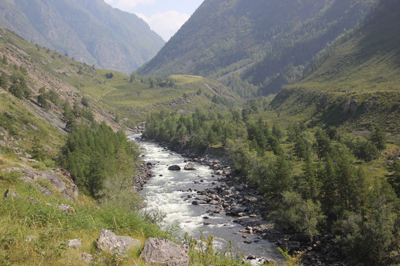 КПП Алтайского заповедника, image of landscape/habitat.