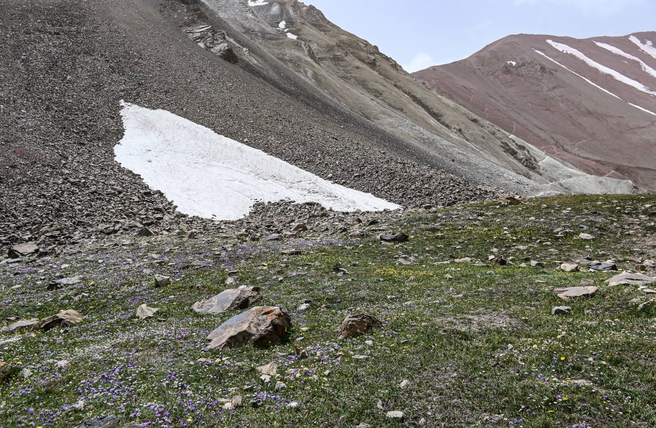 Луковая Поляна, image of landscape/habitat.