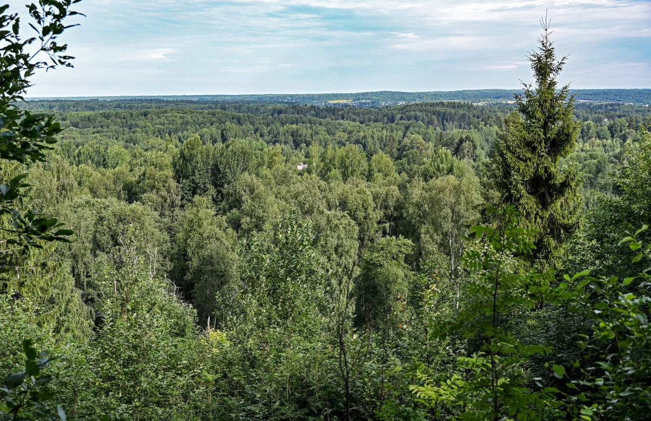 Ципина гора, image of landscape/habitat.