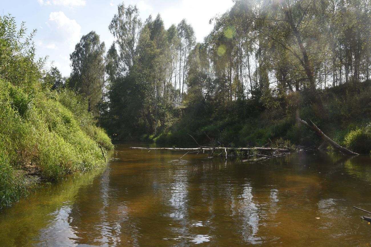 Устье безымянного ручья, image of landscape/habitat.