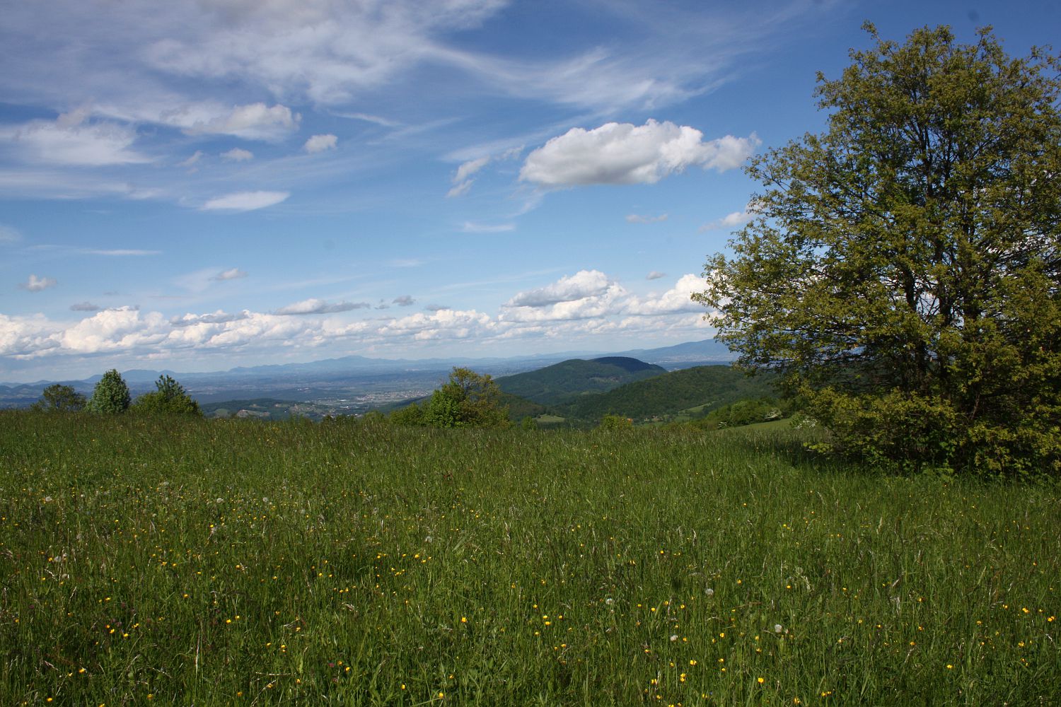 Горка над Подбочье, изображение ландшафта.