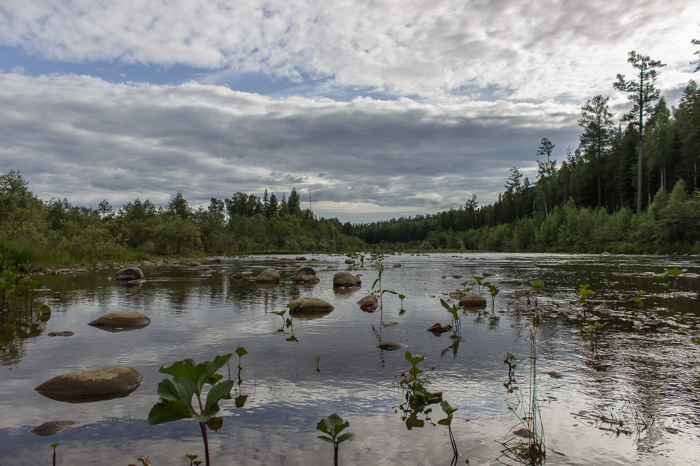 Река Лобва, image of landscape/habitat.