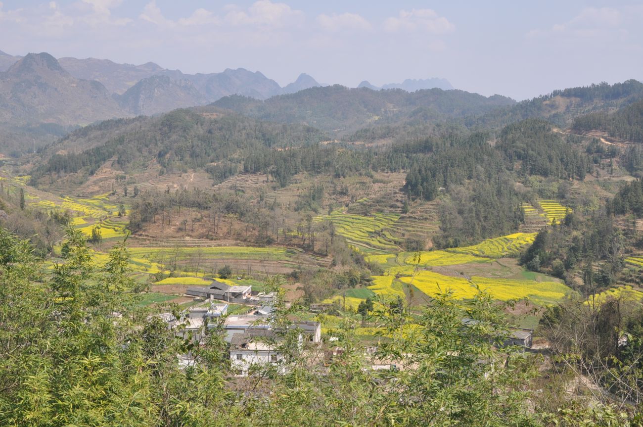 Окрестности водопада Цзюлун, image of landscape/habitat.