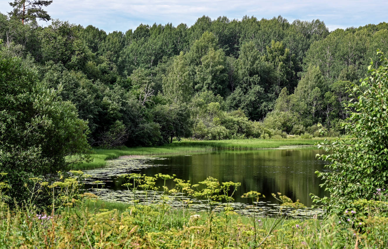 Озеро Ильинское, image of landscape/habitat.