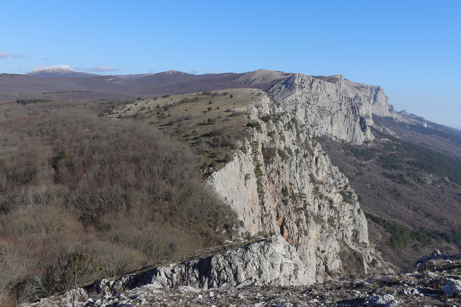 Ай-Петринская яйла, image of landscape/habitat.