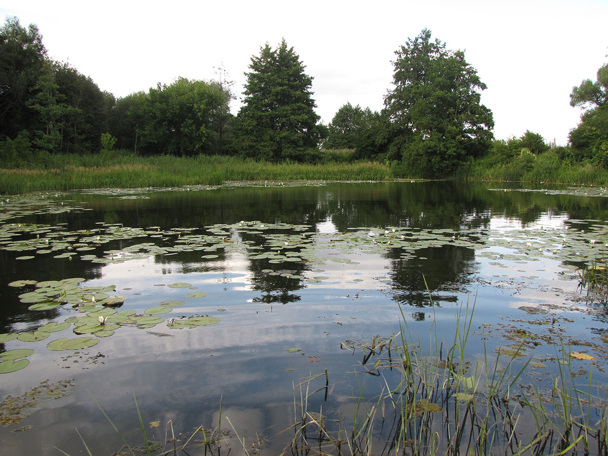 Буровая, image of landscape/habitat.