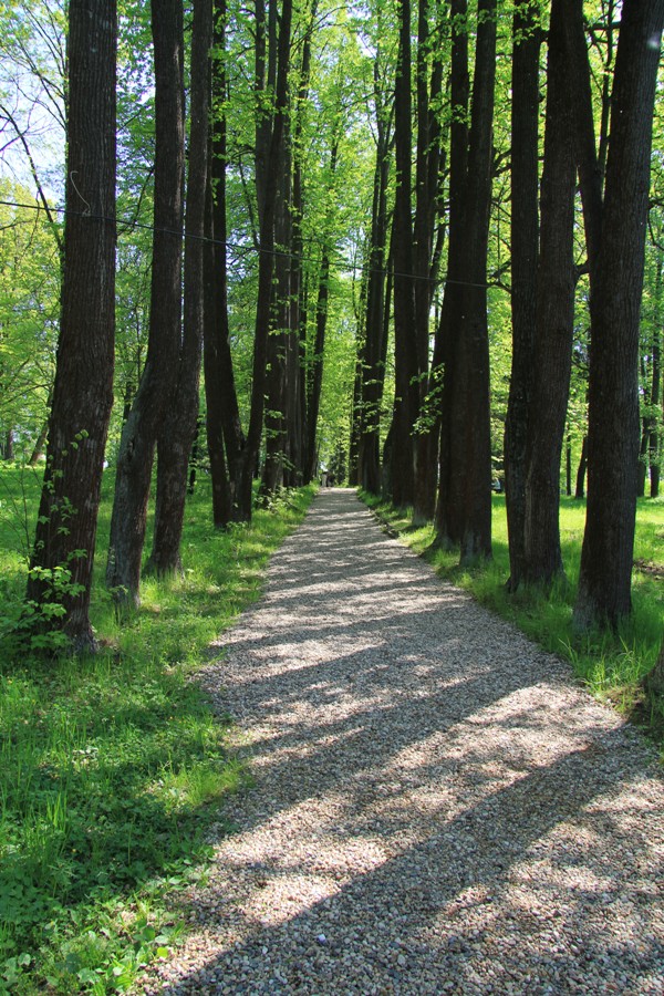 Мураново, image of landscape/habitat.