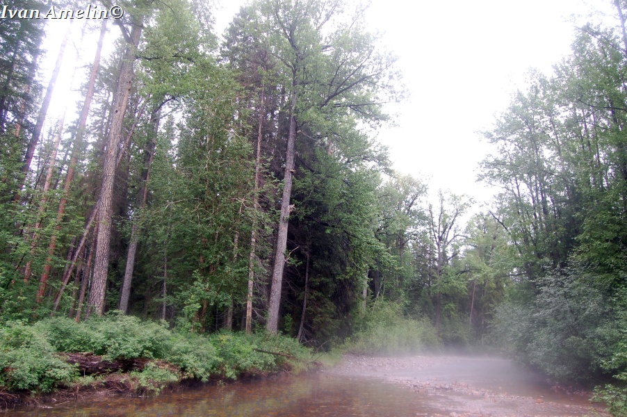 Долина реки Нижняя Конкули, image of landscape/habitat.