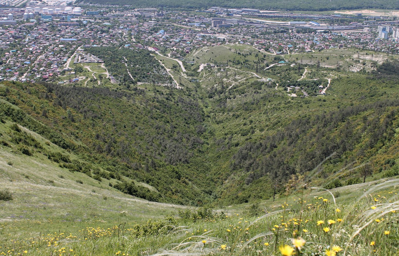 Гора Лысая-Новороссийская, image of landscape/habitat.