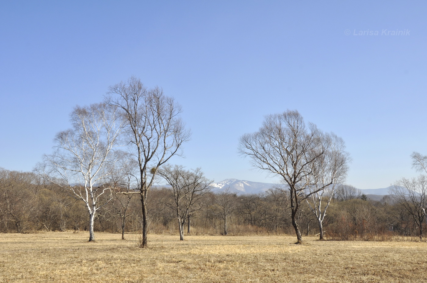 Новонежино, image of landscape/habitat.