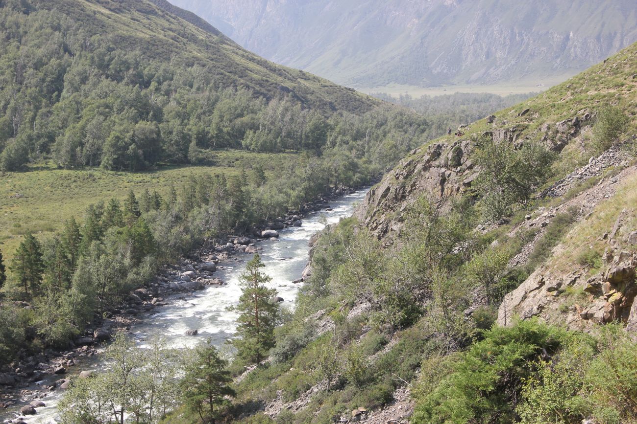 КПП Алтайского заповедника, image of landscape/habitat.