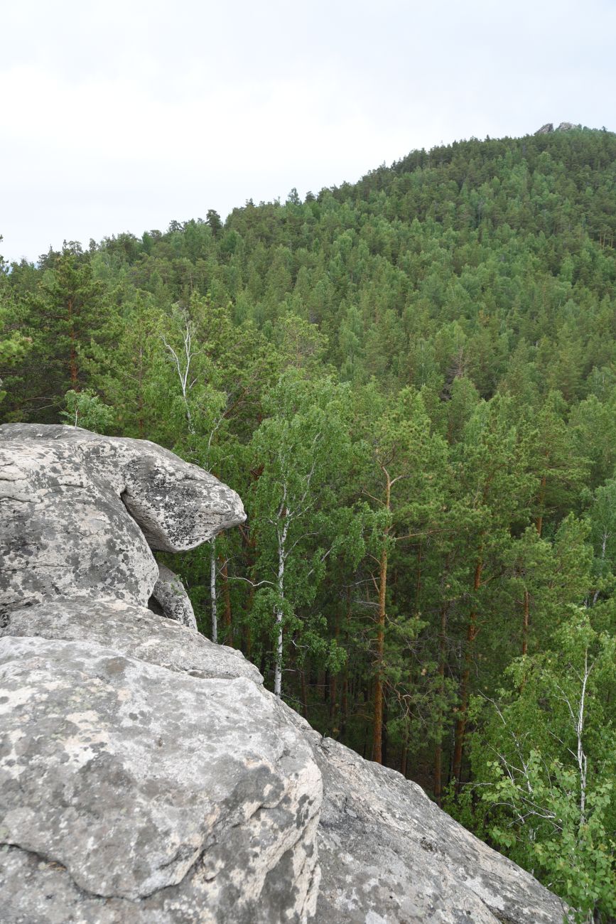 Малый Шихан и окрестности, image of landscape/habitat.