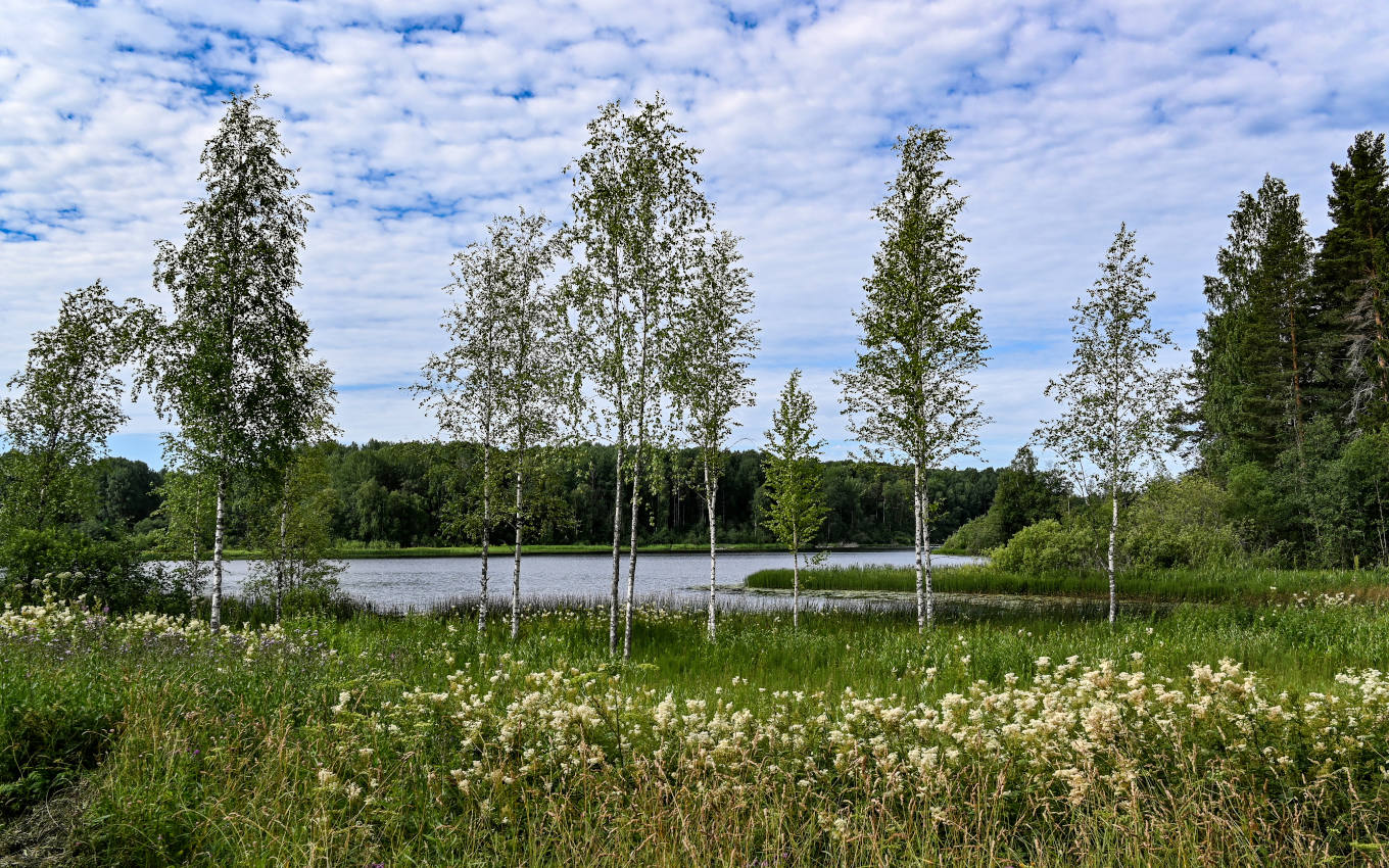 Озеро Ильинское, image of landscape/habitat.