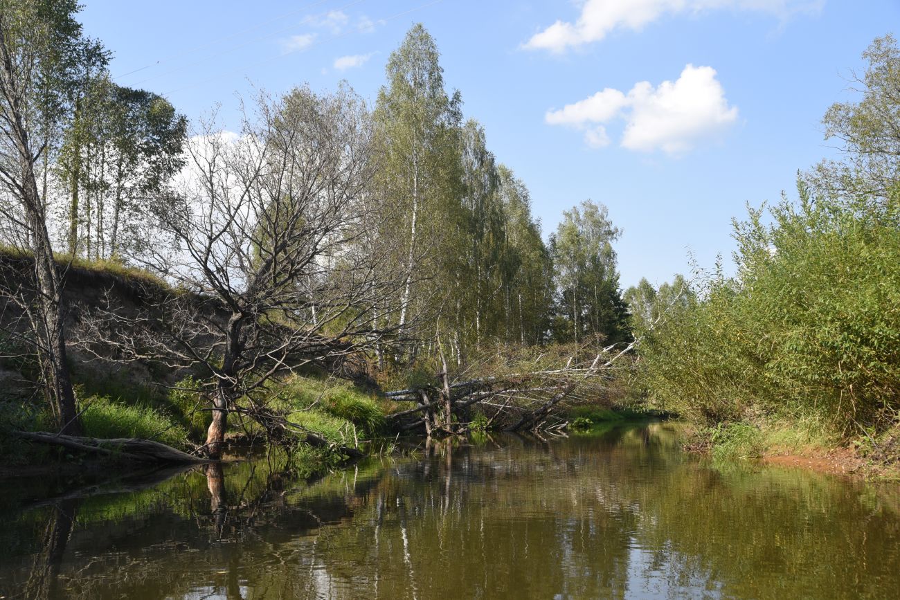 Устье безымянного ручья, image of landscape/habitat.