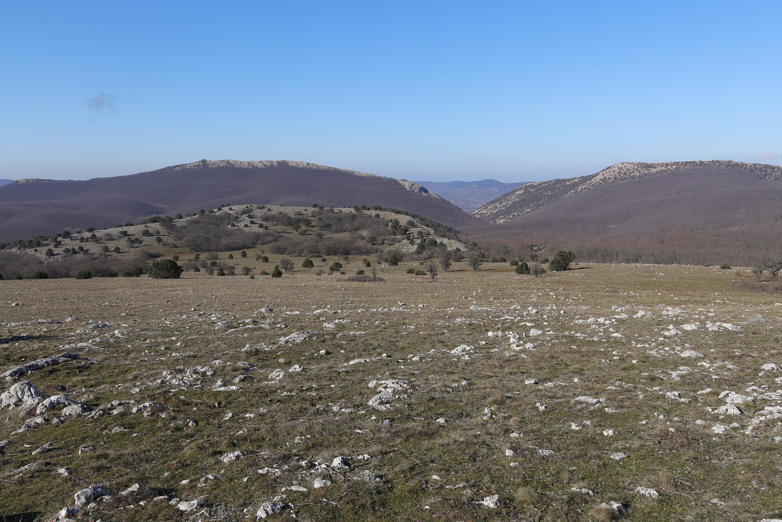 Ай-Петринская яйла, image of landscape/habitat.