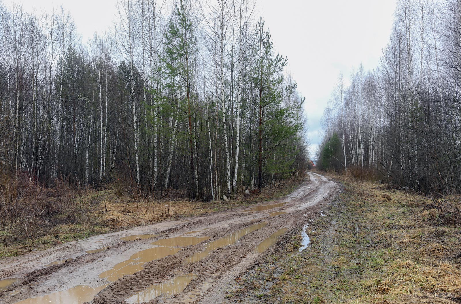 Закамск, image of landscape/habitat.