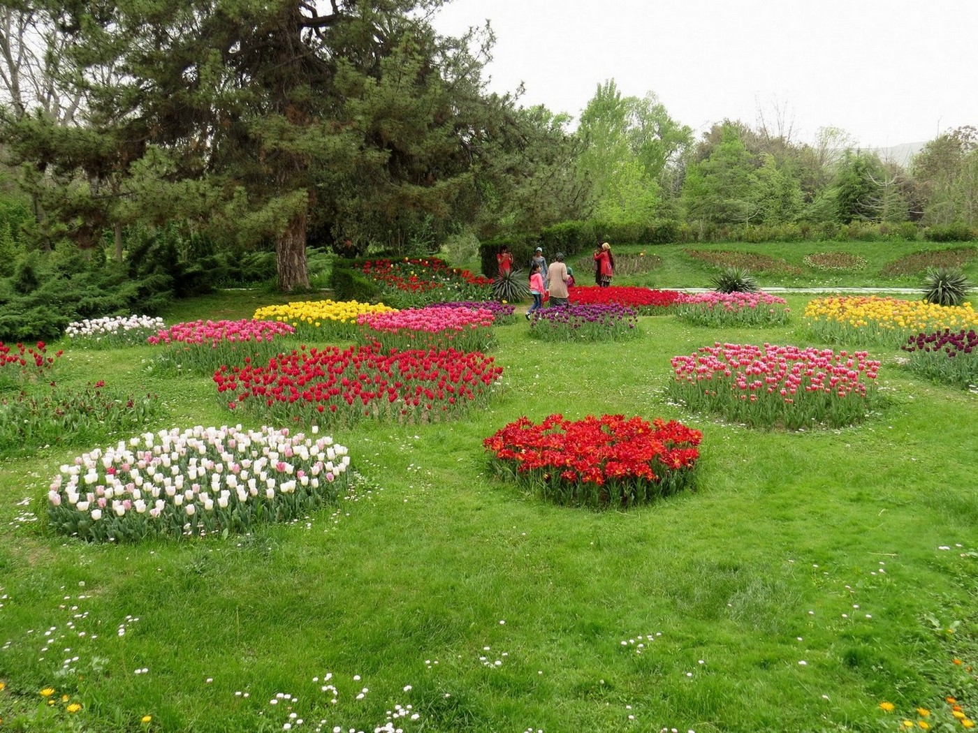 Ботанический сад Душанбе, изображение ландшафта.