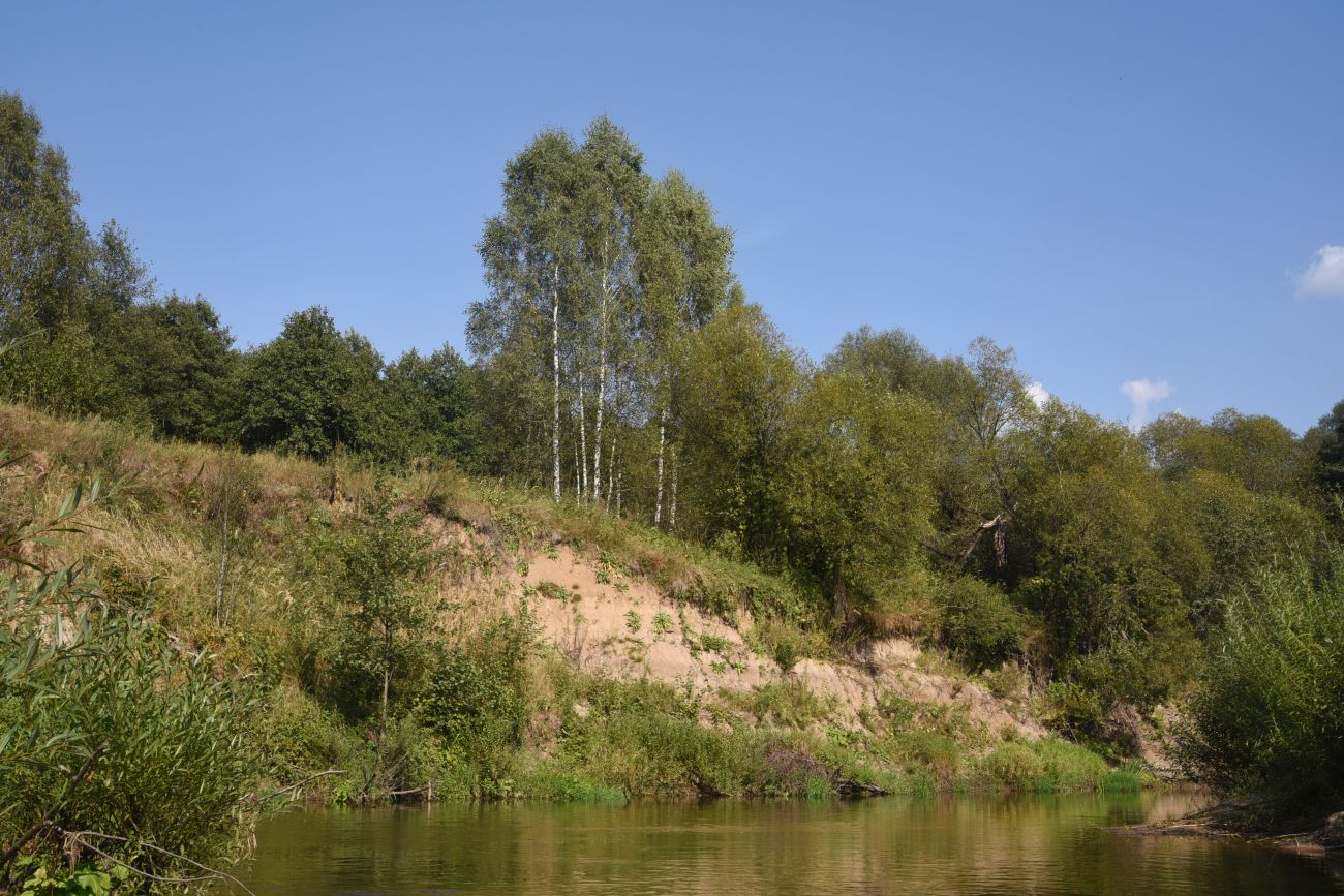 Устье безымянного ручья, image of landscape/habitat.