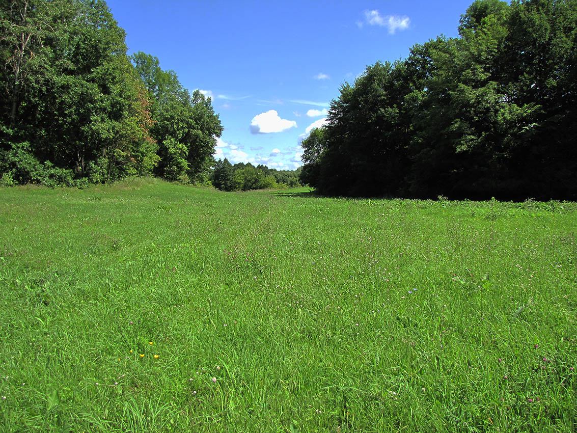 Буровая, image of landscape/habitat.