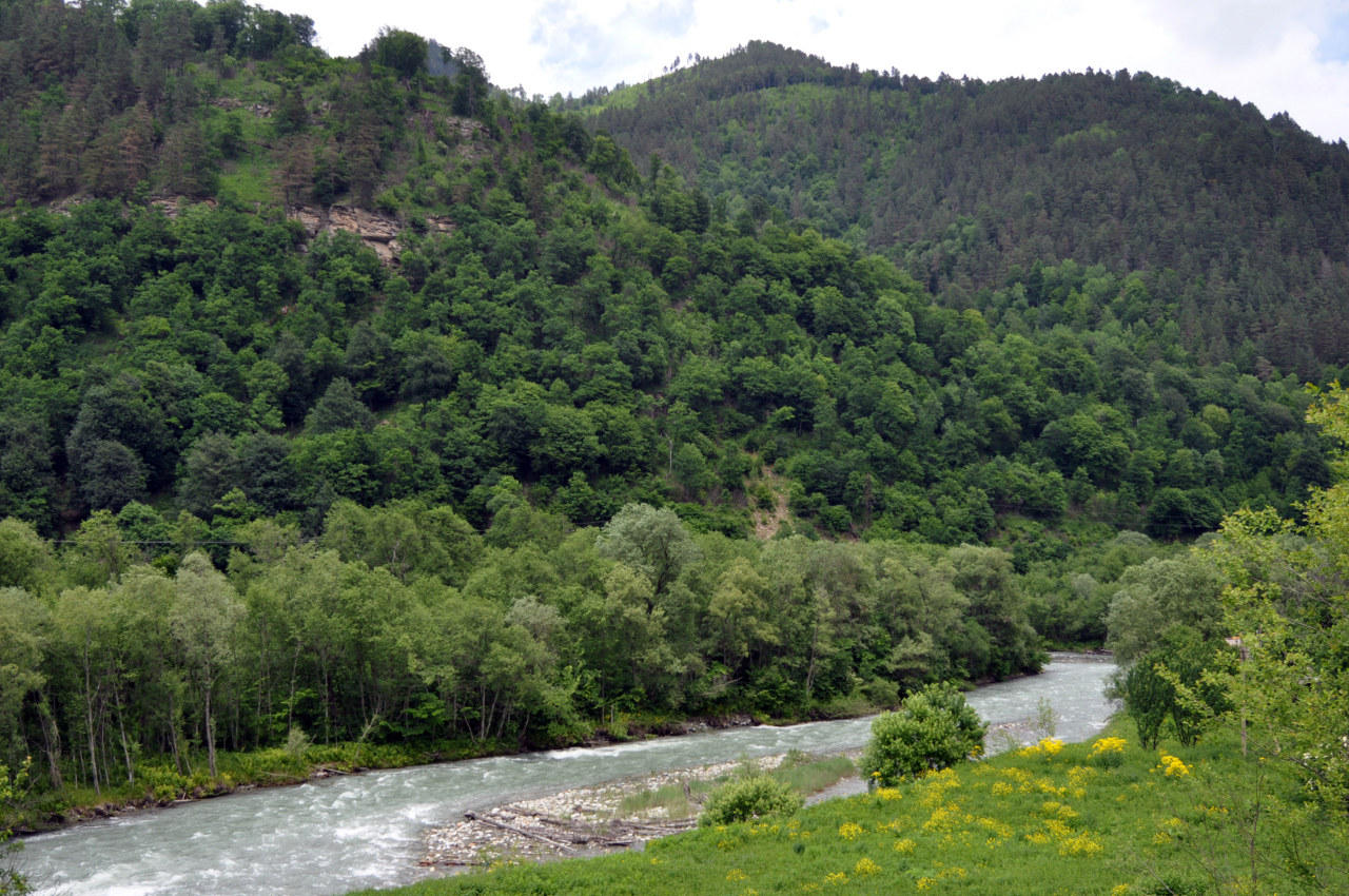 Окрестности поселка Нижний Архыз, image of landscape/habitat.