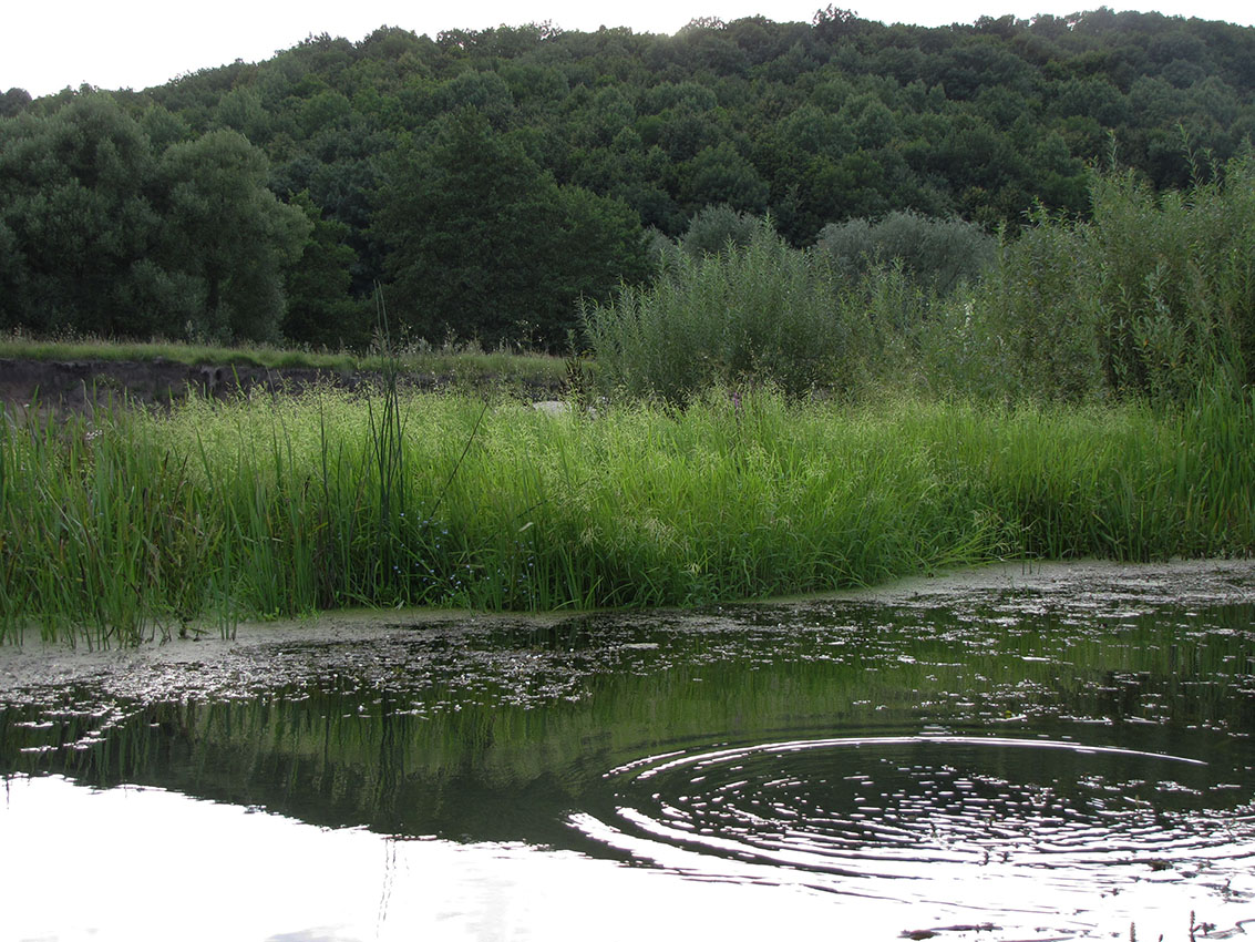 Буровая, image of landscape/habitat.