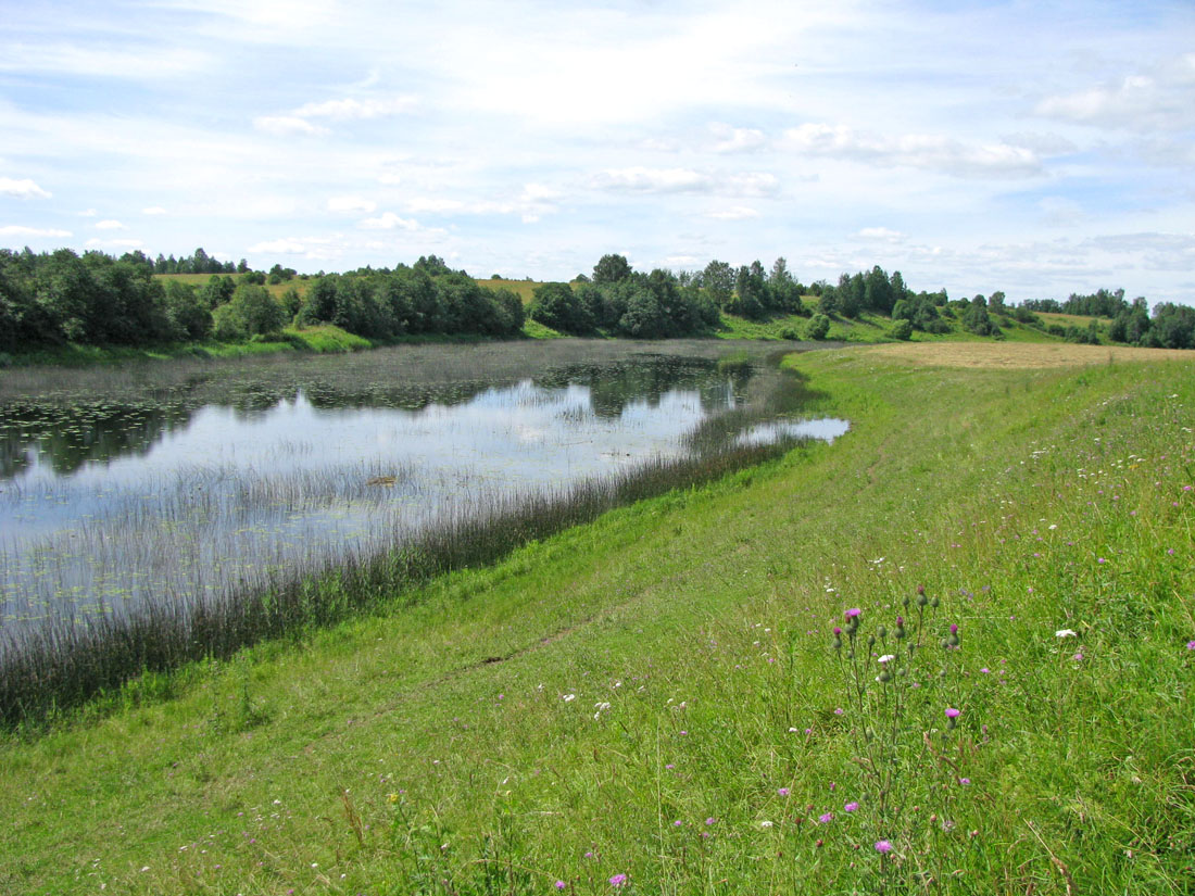 Корожечна у Спасского, image of landscape/habitat.