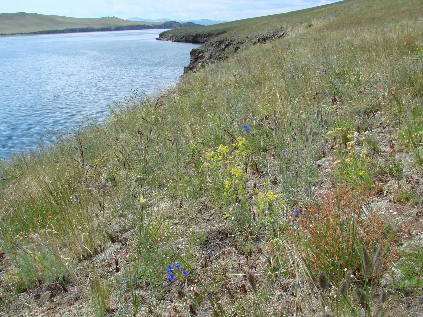 Остров Огой, image of landscape/habitat.