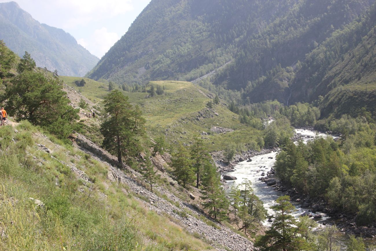 КПП Алтайского заповедника, image of landscape/habitat.