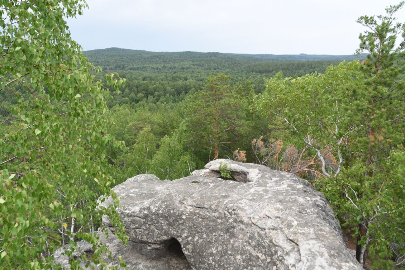 Малый Шихан и окрестности, image of landscape/habitat.