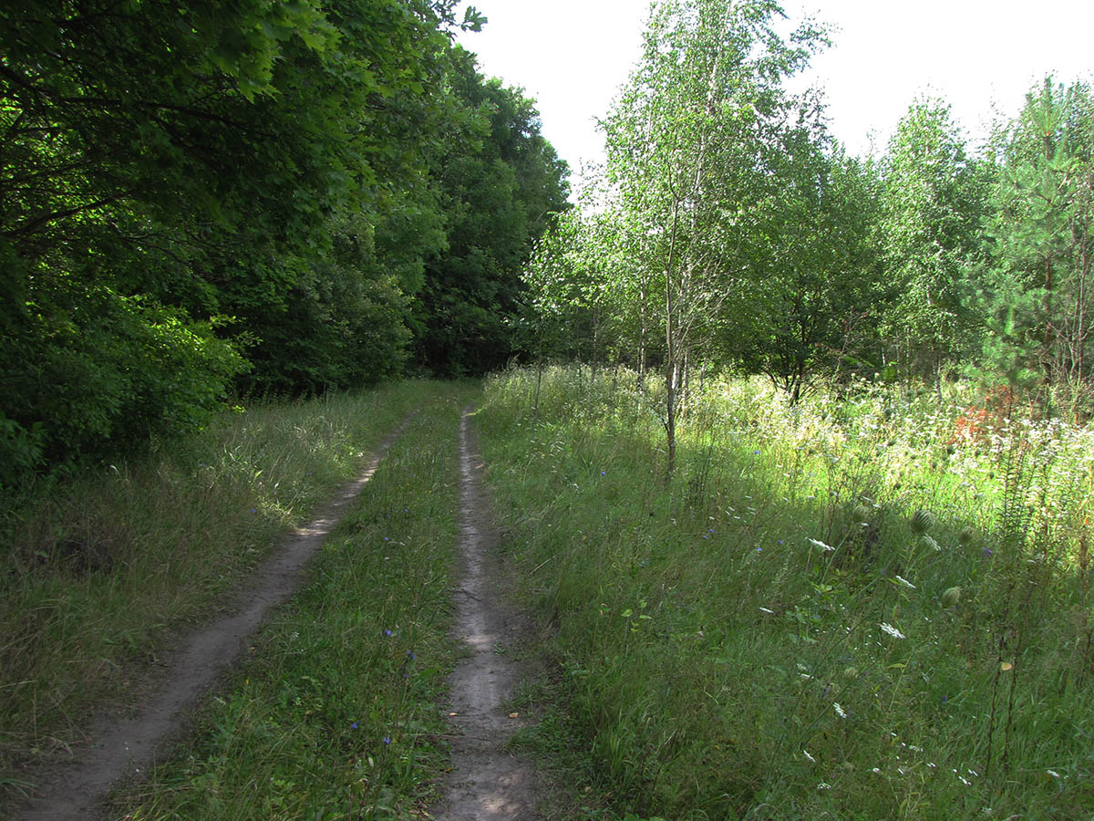 Буровая, image of landscape/habitat.