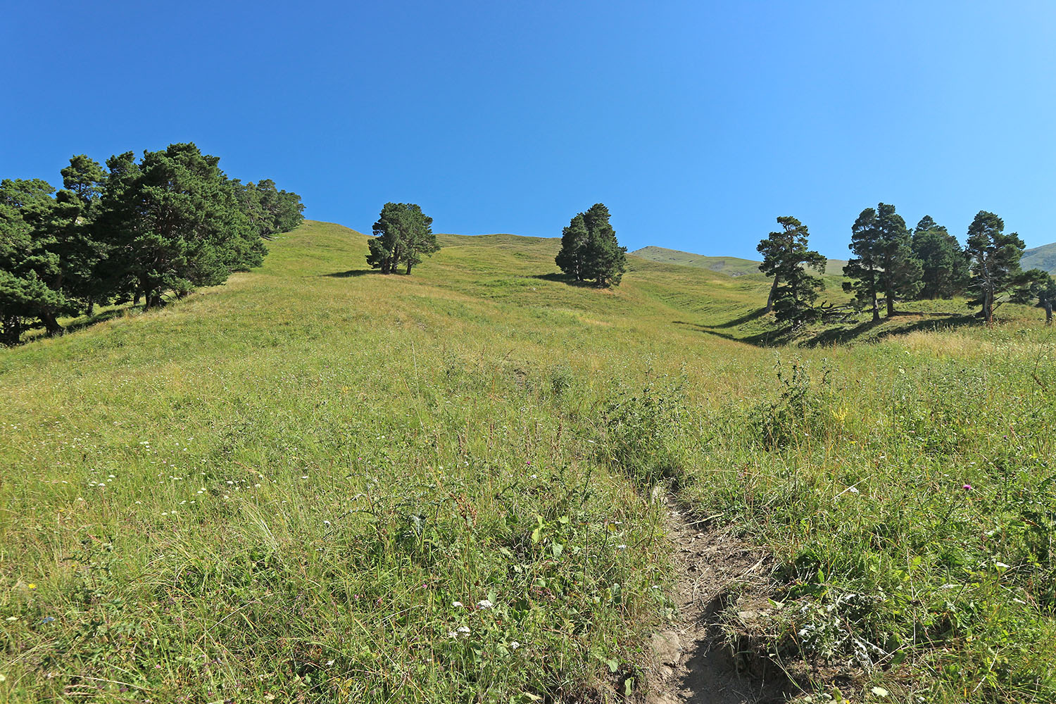 Долина реки Загедан, image of landscape/habitat.