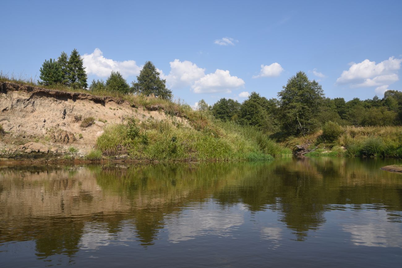 Устье безымянного ручья, image of landscape/habitat.