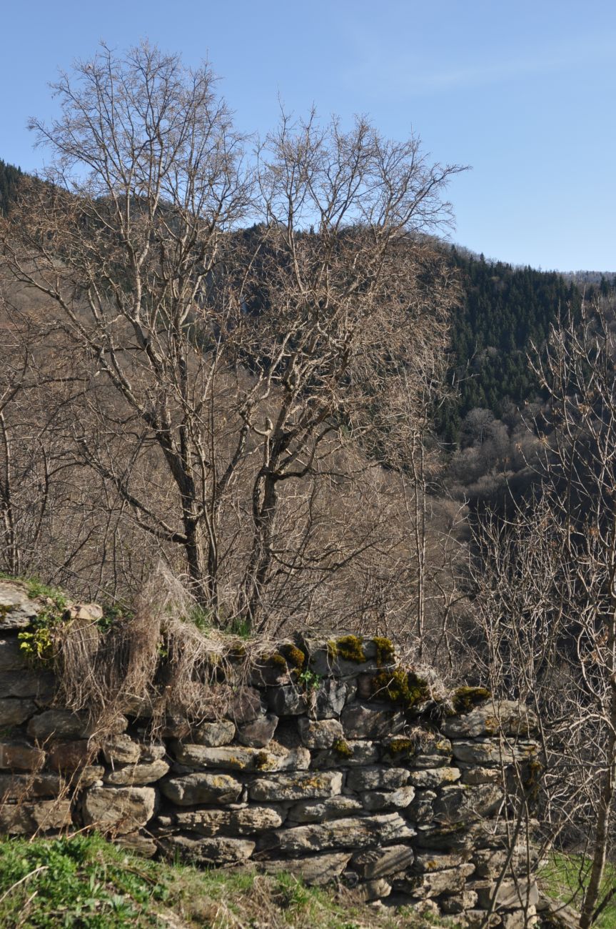 Окрестности монастыря Агара, image of landscape/habitat.