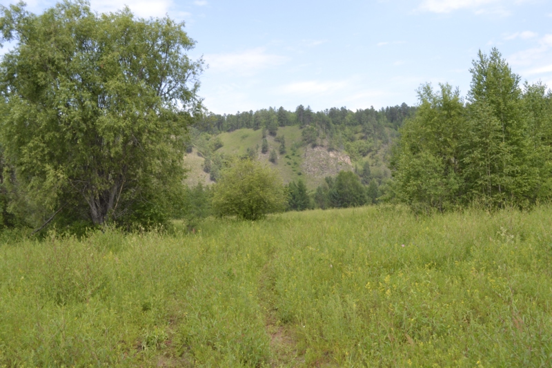 Усть-Стрелка и село Покровка, image of landscape/habitat.