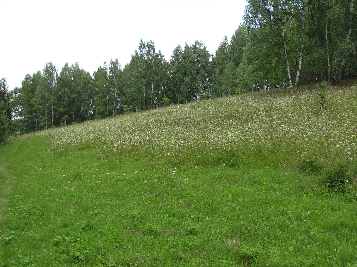 Буровая, image of landscape/habitat.