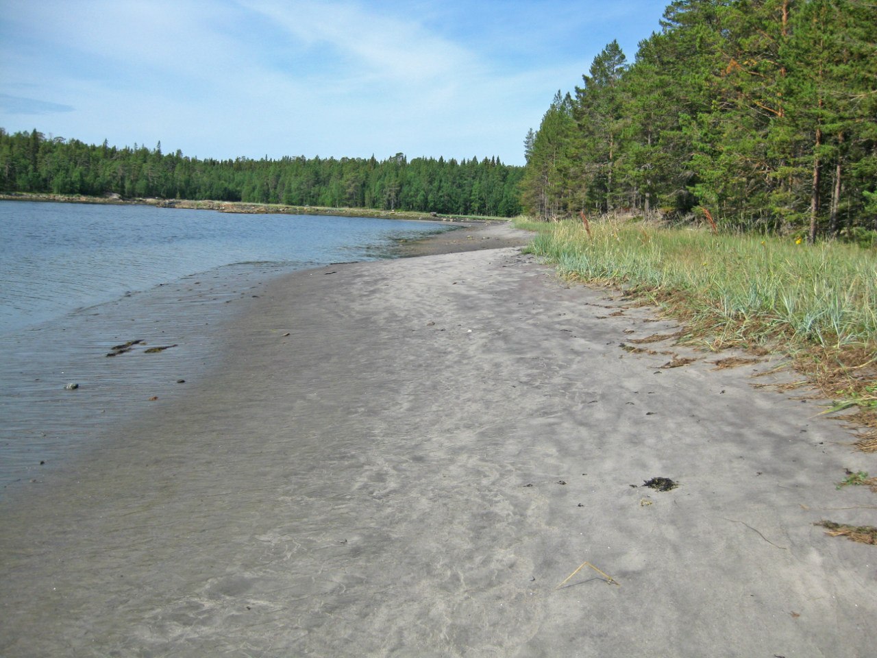 Нильмогуба и окрестности, image of landscape/habitat.