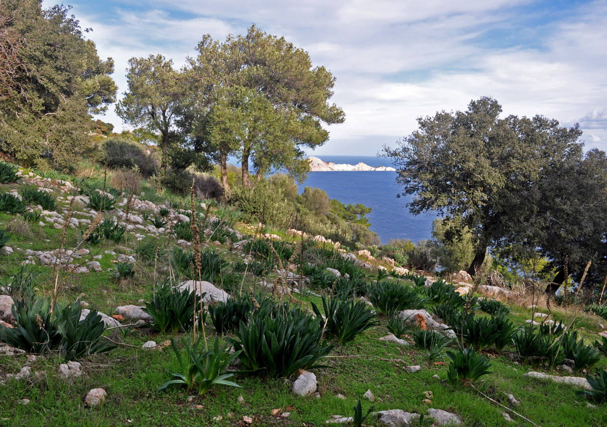 Мыс Гелидония и окрестности, image of landscape/habitat.