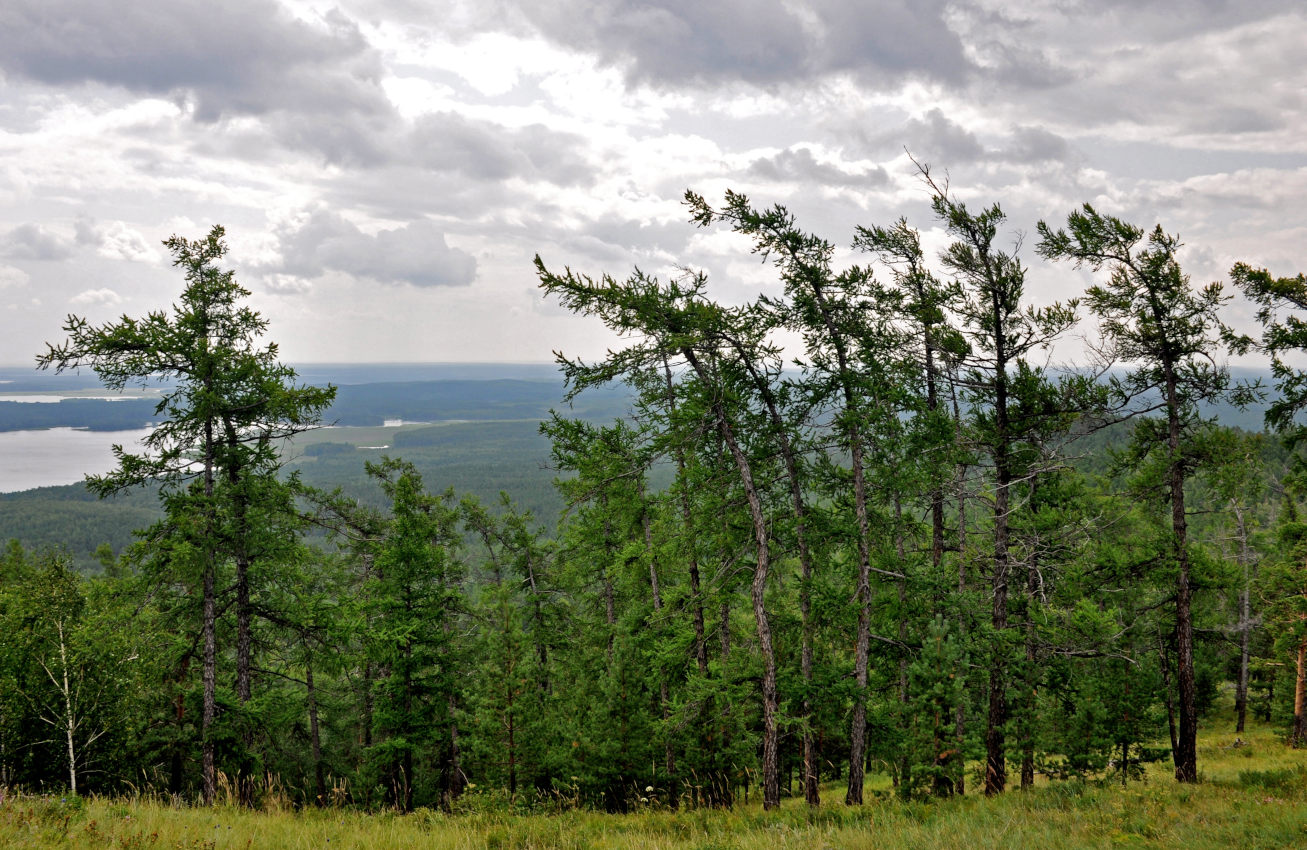 Гора Сугомак, image of landscape/habitat.